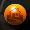 The home button